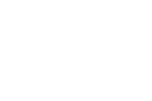 Logo CVnow