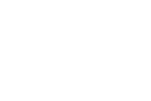 Logo Home Group AG